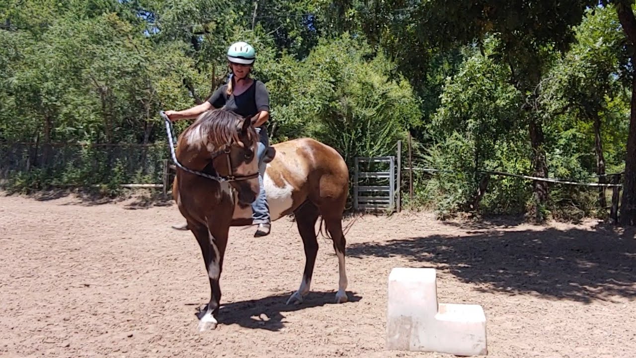 Riding a horse for the first time bareback in a halter and lead rope