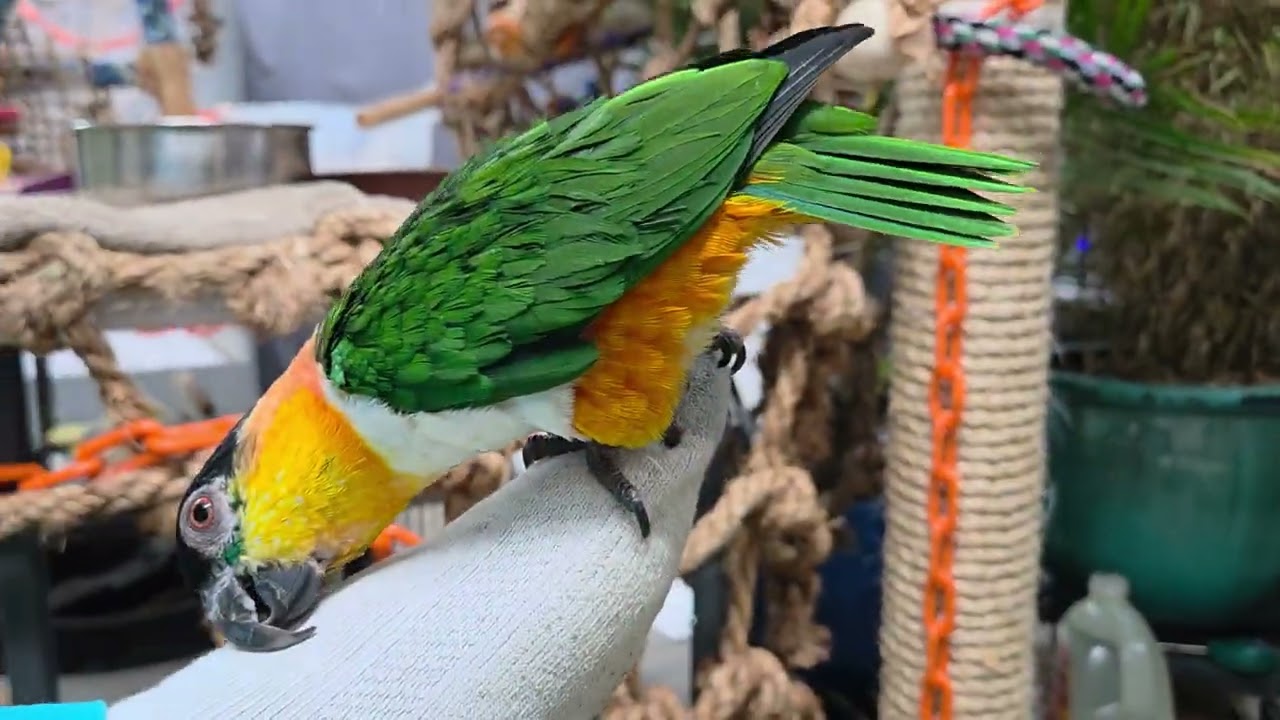 И мы возвращаемся с пятым перерывом 💖💖💖