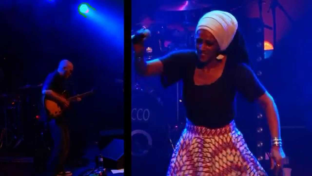 Mo'kalamity and the wizards : Jah love