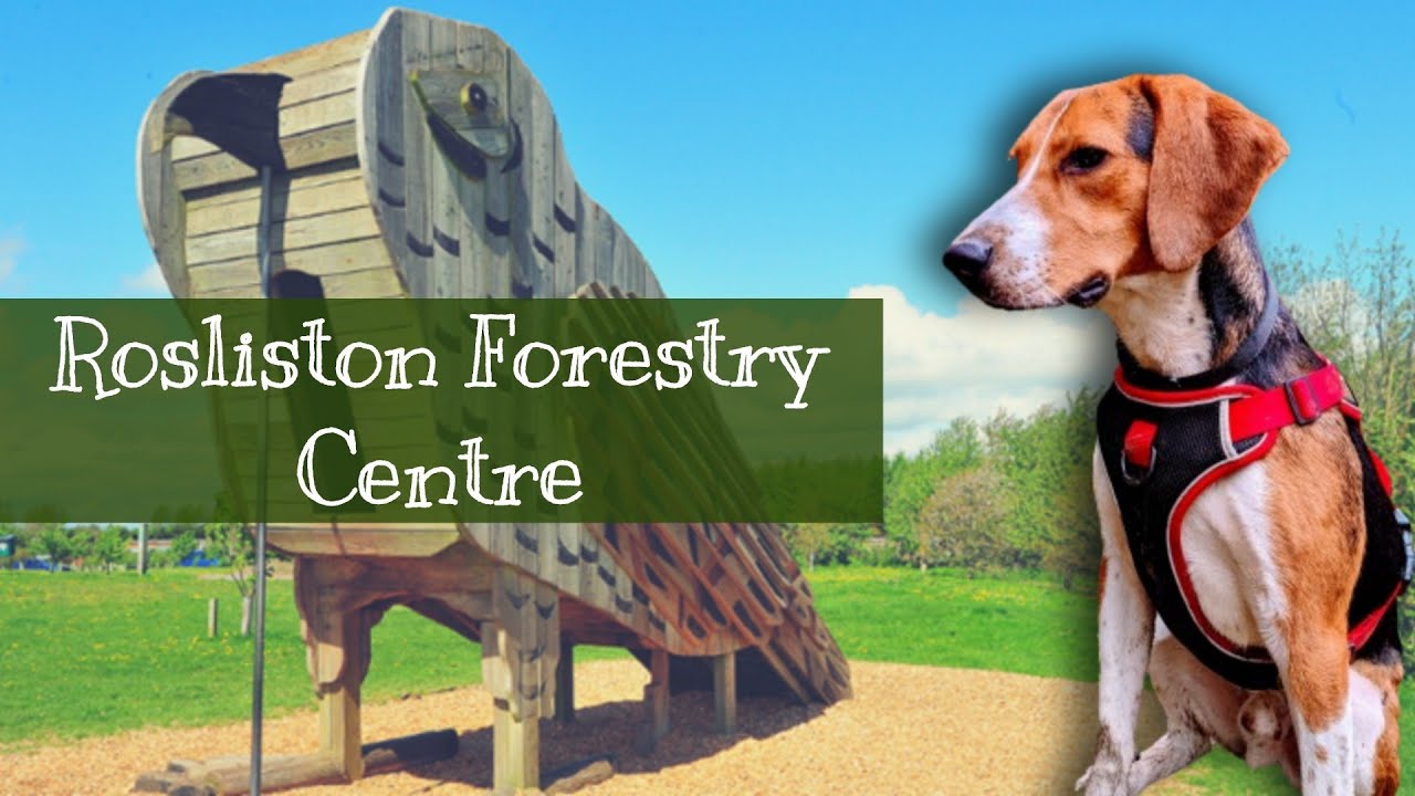 Eugene's Rosliston Adventure: Sculpture Trail, Tadpoles, and Goslings! 🐾
