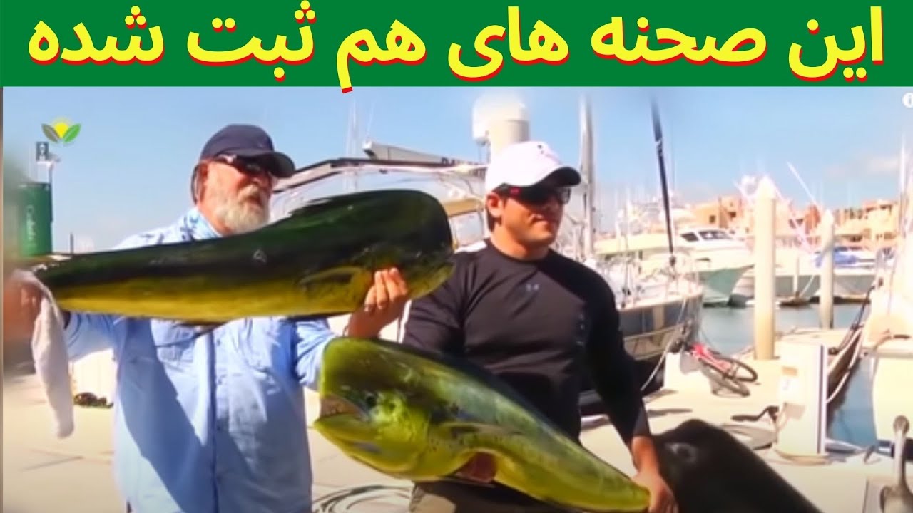 عجیب ترین صحنه های که اشتباه پیش رفتند. شاید باور تان نشود!