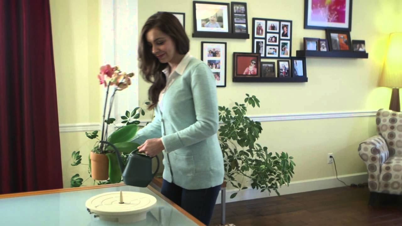 Easy Gardening Tray