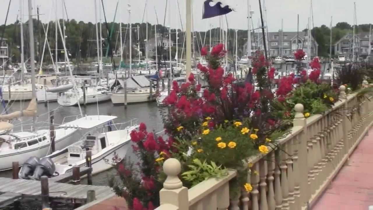 Sailing Emporium Boatyard Work