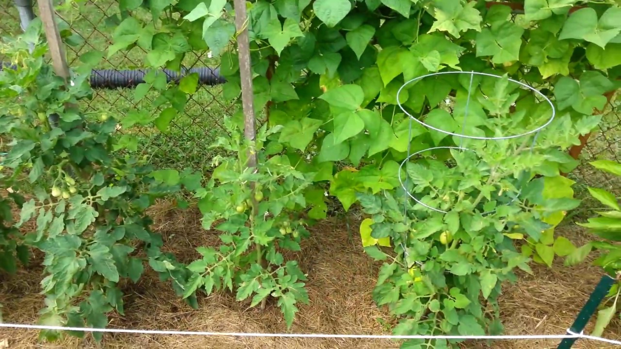 Garden Tour Summer 2018