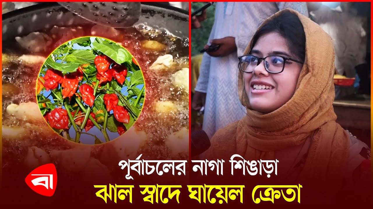 পূর্বাচলের জনপ্রিয় নাগা শিঙাড়া, ছুটির দিনে মেলে না সিরিয়াল | Purbachal Nila Market | Naga Shingara