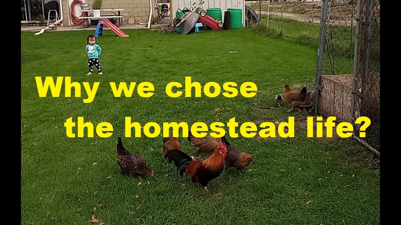 Why We Chose the Homestead Life | No Instructions