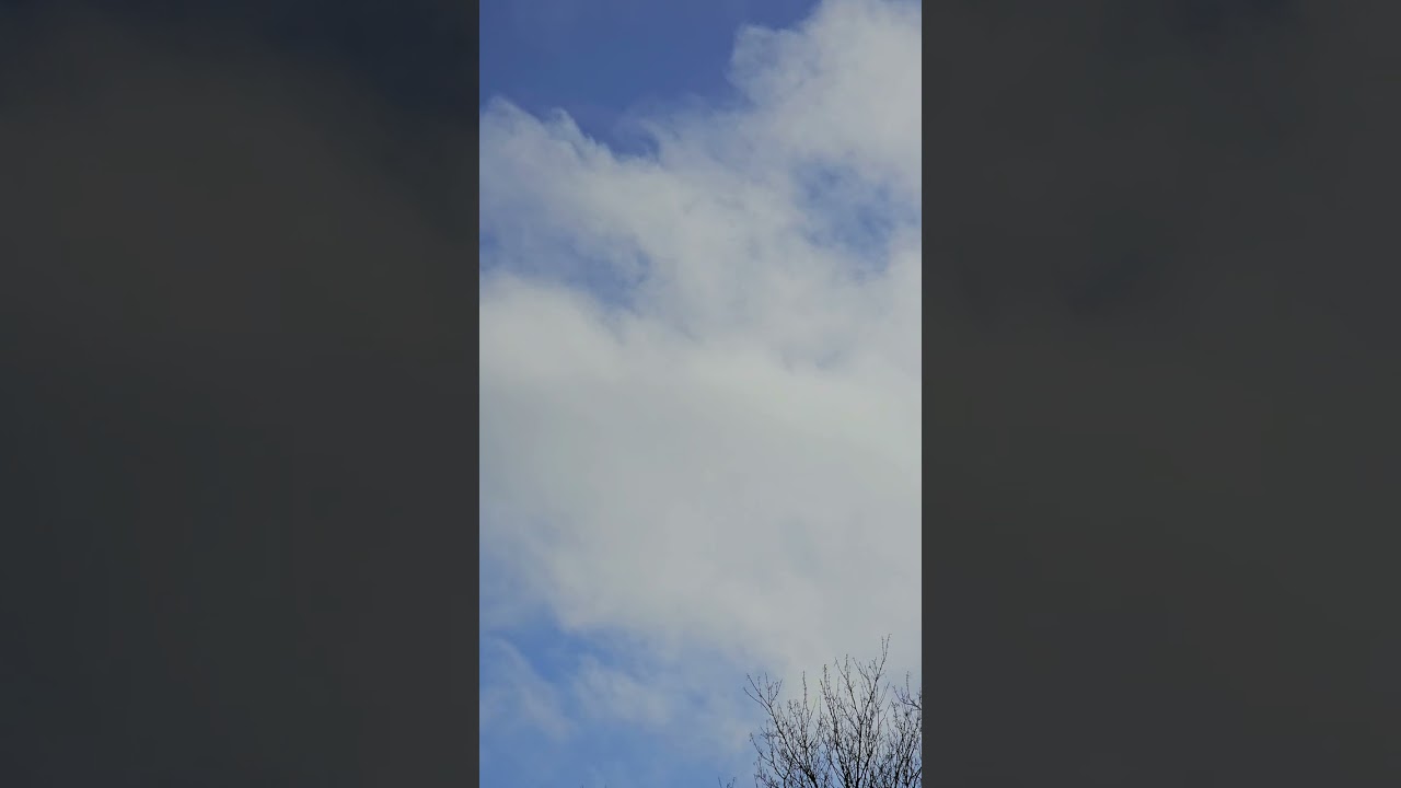 Meditation | Awakening | Bamboo | Flute