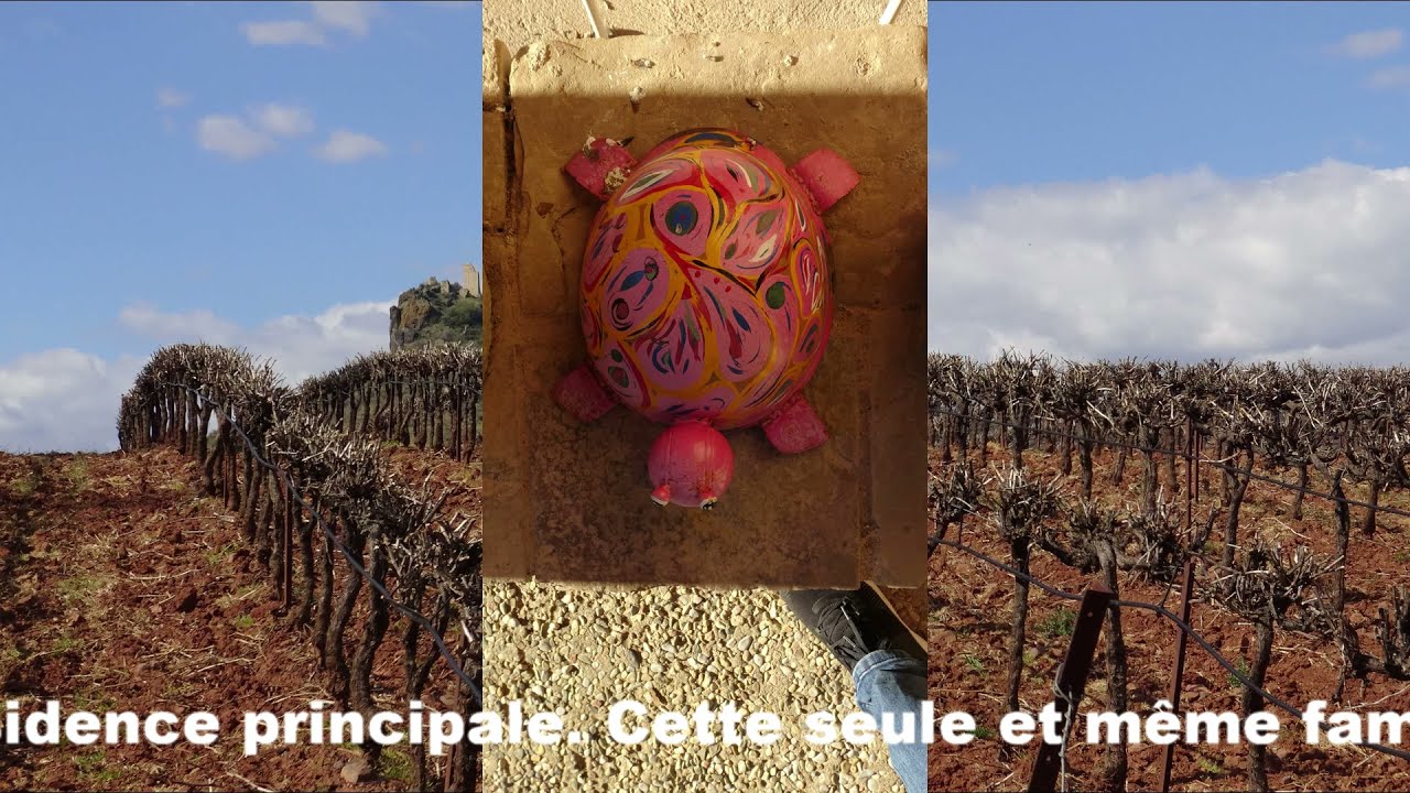Visite au ch&acirc;teau de Jonqui&egrave;res movie