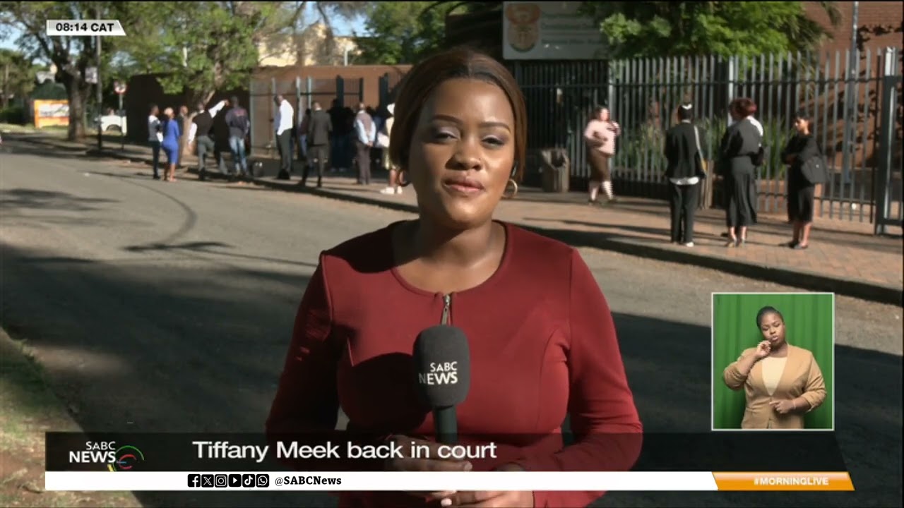 Tiffany Meek back in court