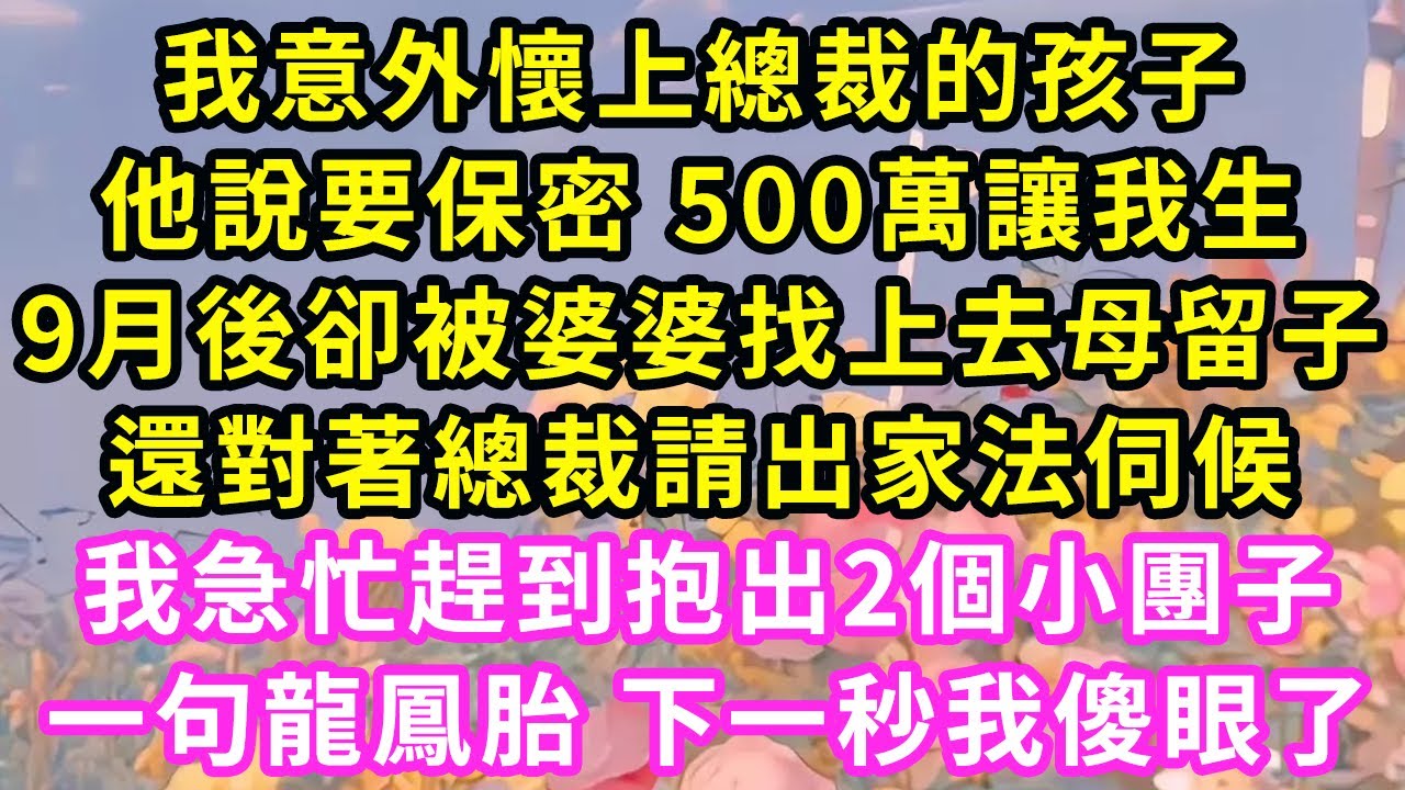 我意外懷上總裁的孩子,他說要保密 500萬讓我生,9月後卻婆婆找上,要去母留子還對著總裁請出家法伺候,我急忙趕到抱出2個小團子!一句龍鳳胎下一秒我傻眼了#甜寵#灰姑娘#霸道總裁#愛情#婚姻#小嫻說故事