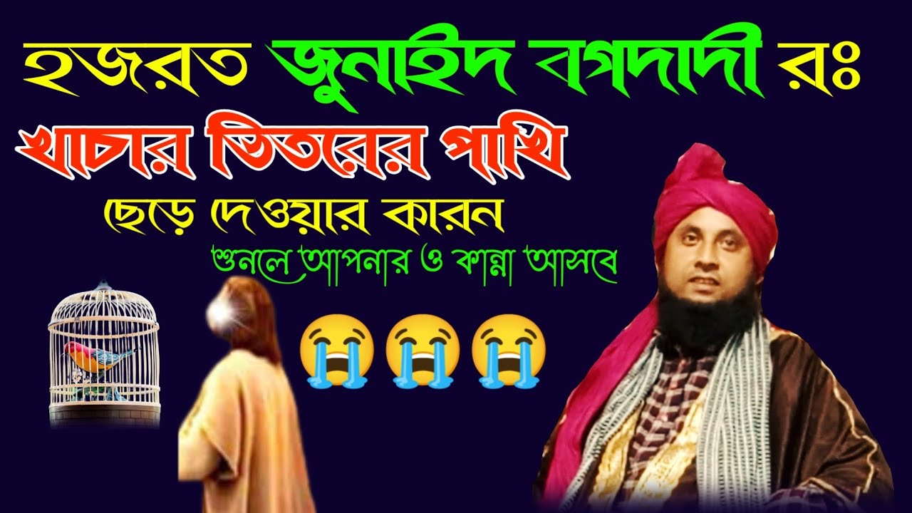 Moulana Najrul Islam❤ জুনাইদ বগদাদী খাচার ভিতরের পাখির ঘটনা🦜 S Ahmed Media