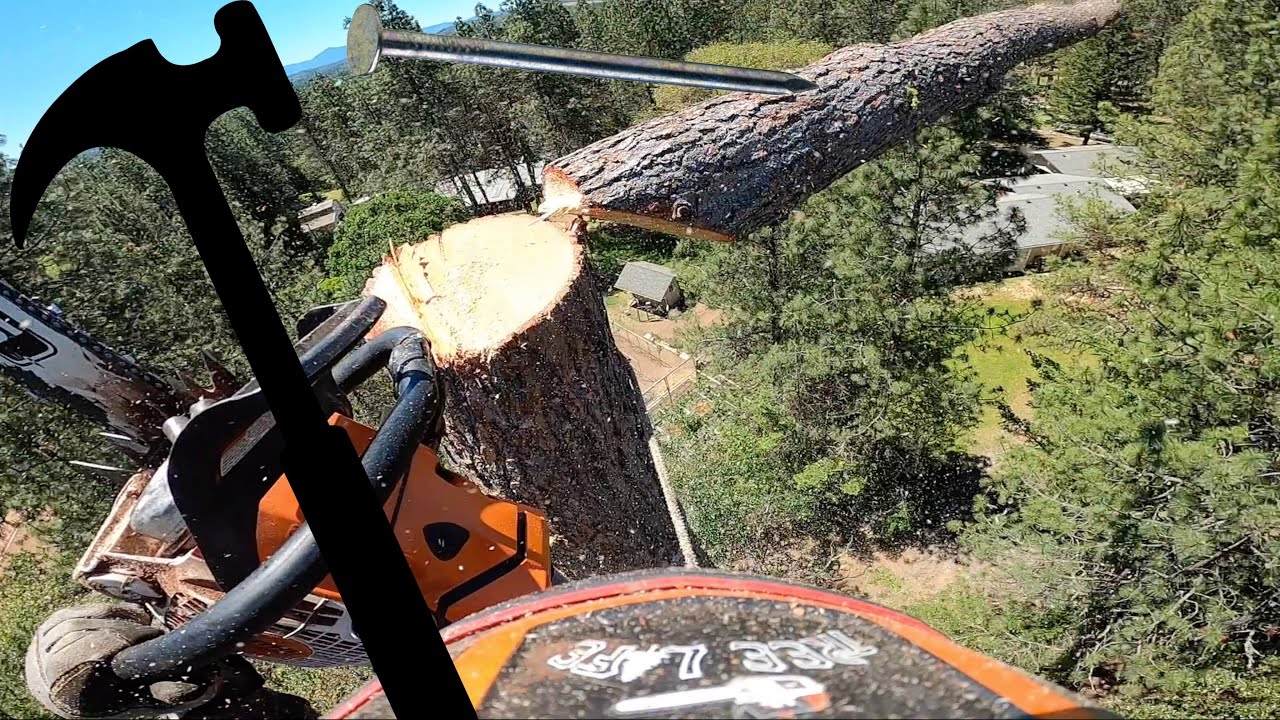 To a Hammer, Everything Looks Like a Nail