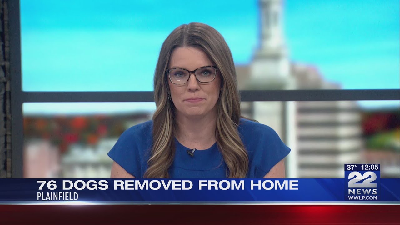 More than 70 dogs removed from home of Massachusetts breeder