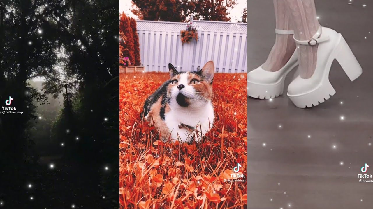 aesthetically pleasing tiktoks | TikTok compilation