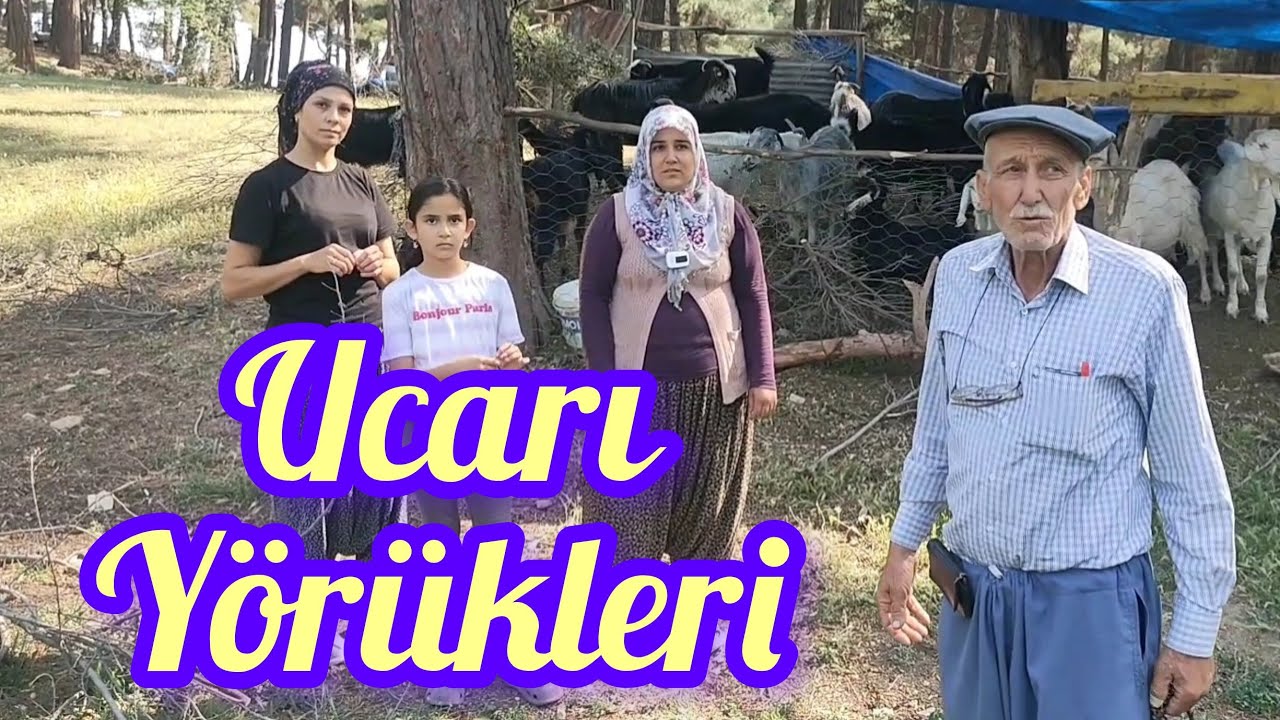 UCARI Y&Ouml;R&Uuml;KLERİ