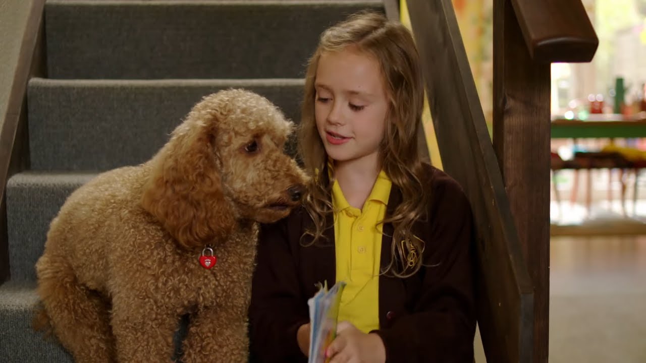 Waffle's Study Time | Waffle the Wonderdog | Live Action Videos for Kids | WildBrain Zigzag