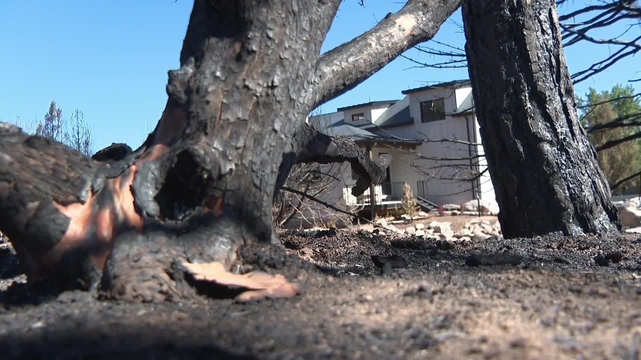 Builder whose Pine Valley home survived 100-foot flames says he built luck
