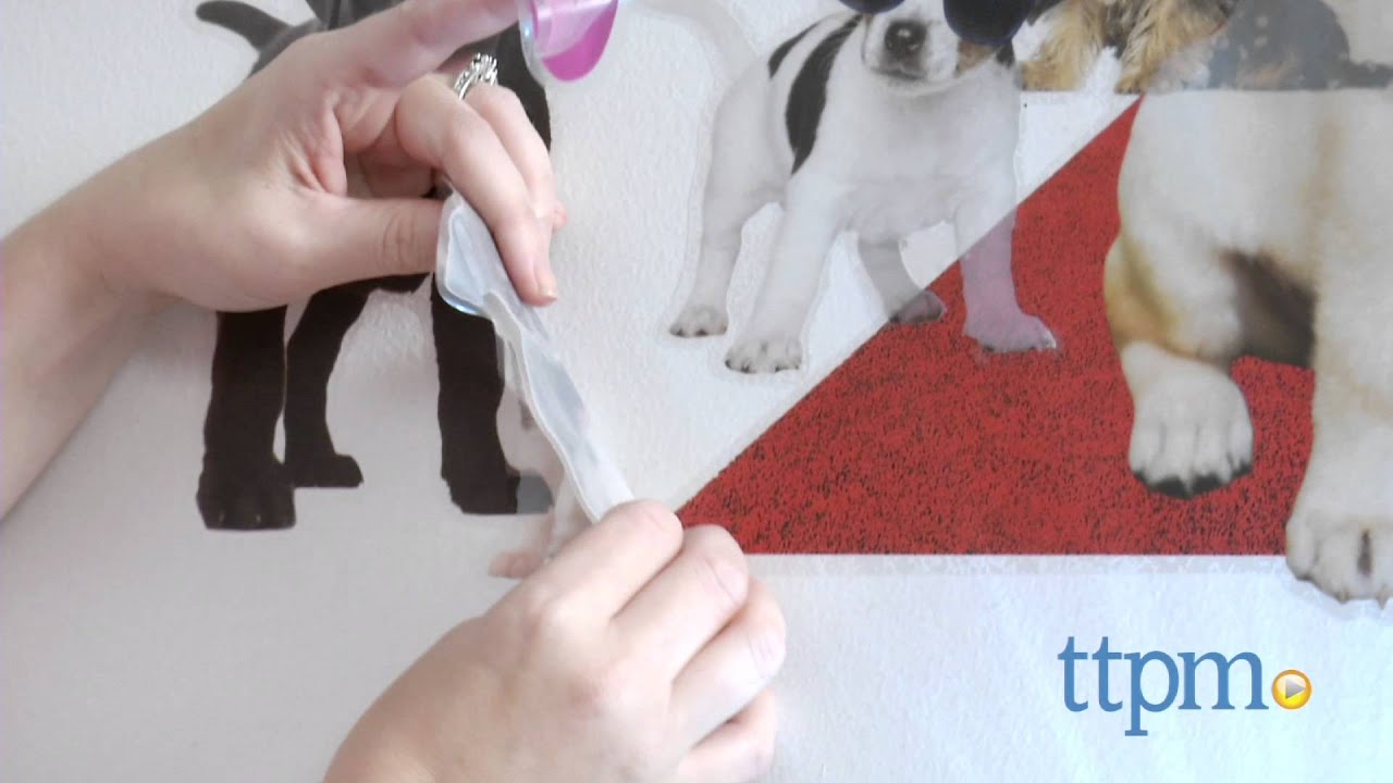 Wild Walls Puppy Stars from Uncle Milton