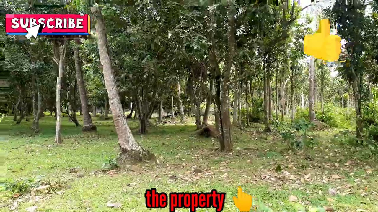 vlog # 124 Farm lot for sale- 29,979sqm Calumpang, Nagcarlan Laguna
