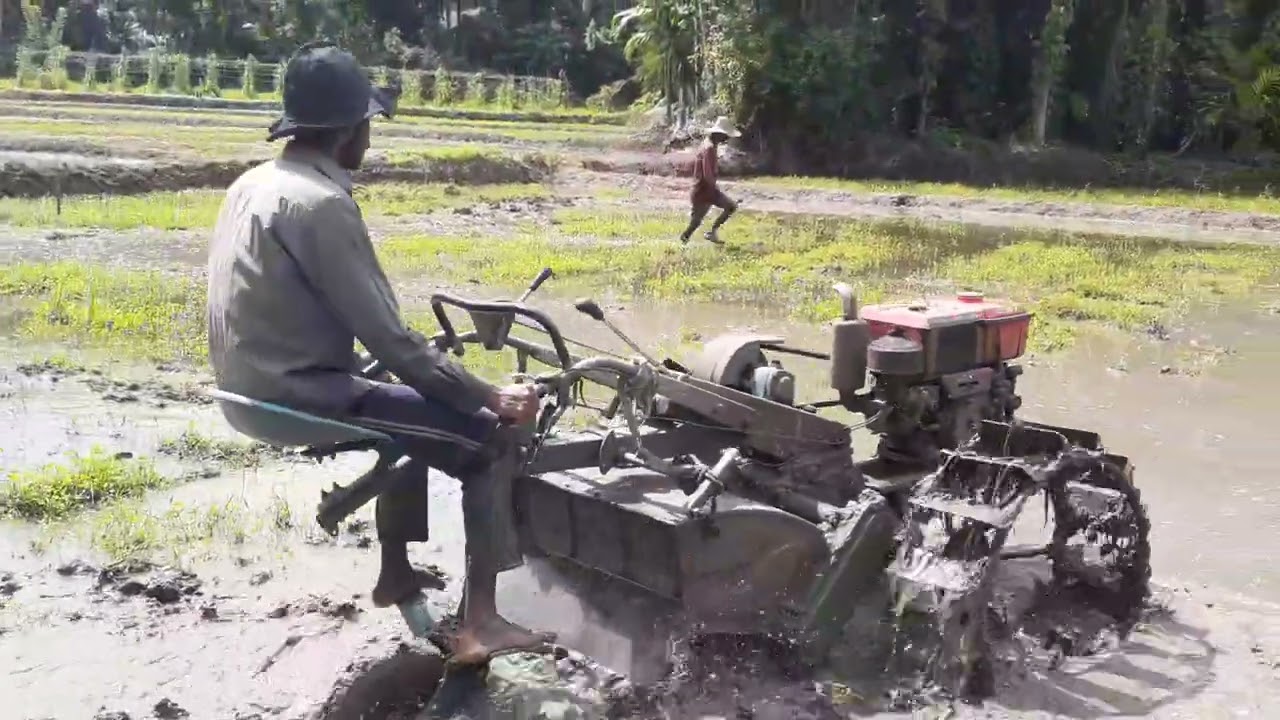 RV 125 tractor video 🚜🔥👊| ට්‍රැක්ටර් පිස්සෝ | Best Tractor Farmer #rv125 #tractor #video #shorts