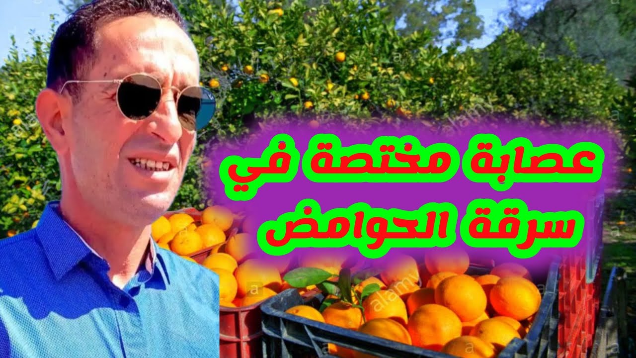 👮‍♂️ الحلقة 