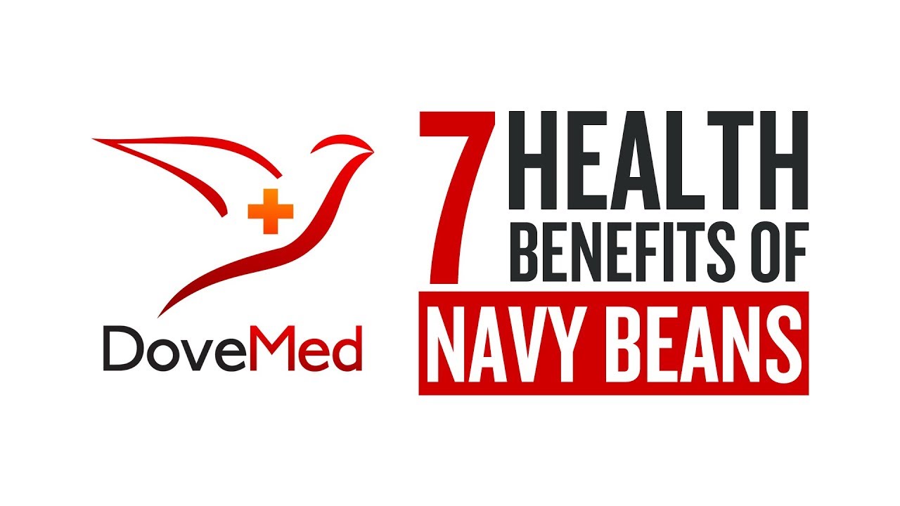 7 Health Benefits Of Navy Beans