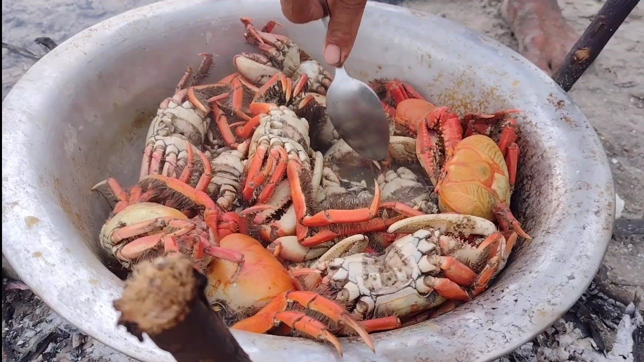 MUITOS SIRI E CARANGUEJO NO IGARAPÉ DO MANGUE SÊCO. CAPTURA E PREPARO.