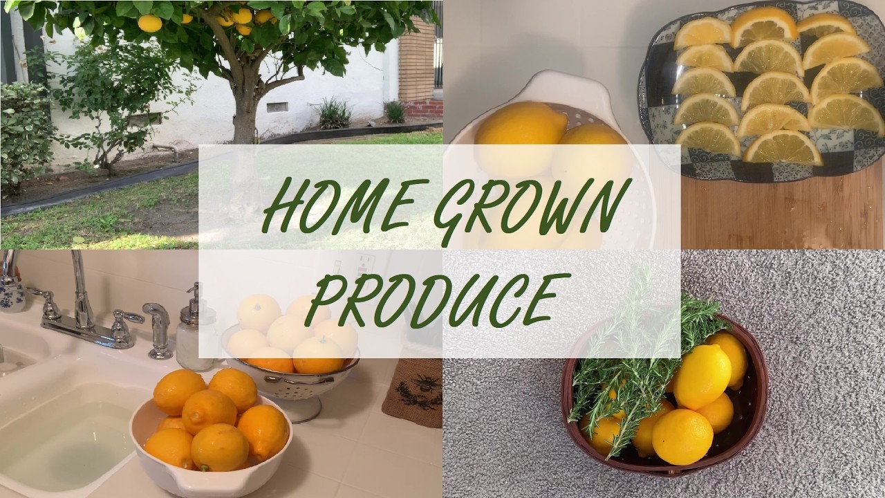Homemaking with home grown goods in my tiny cottage kitchen