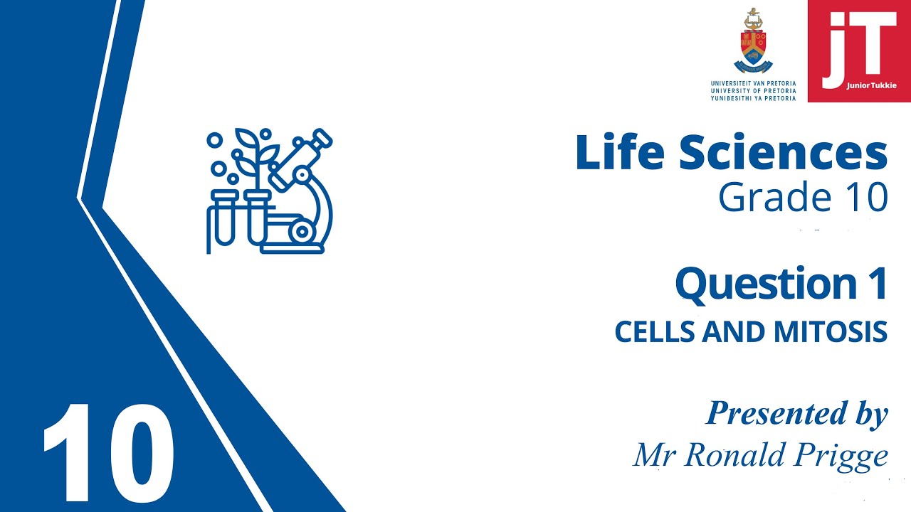 Gr 10 - Life Sciences - Cells and Mitosis - Question 1