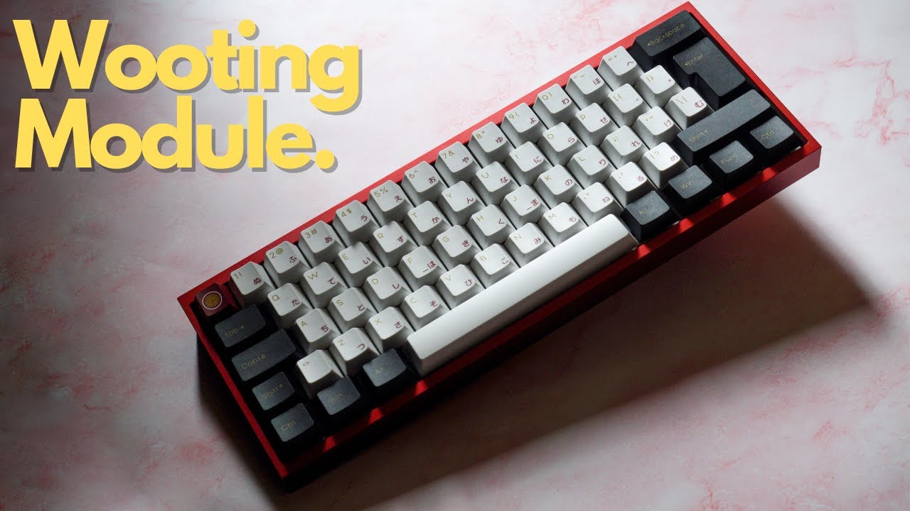 WOOTING MODULE IS CRAZY ! // LEKKER45 SWITCHES // Custom Keyboard Typing