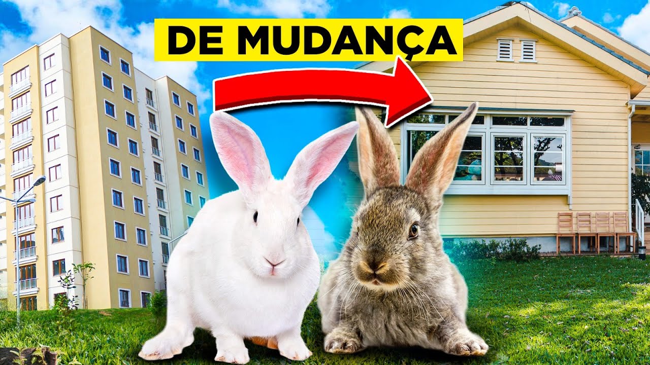 MUDAMOS DE UM APARTAMENTO PARA UMA CASA!