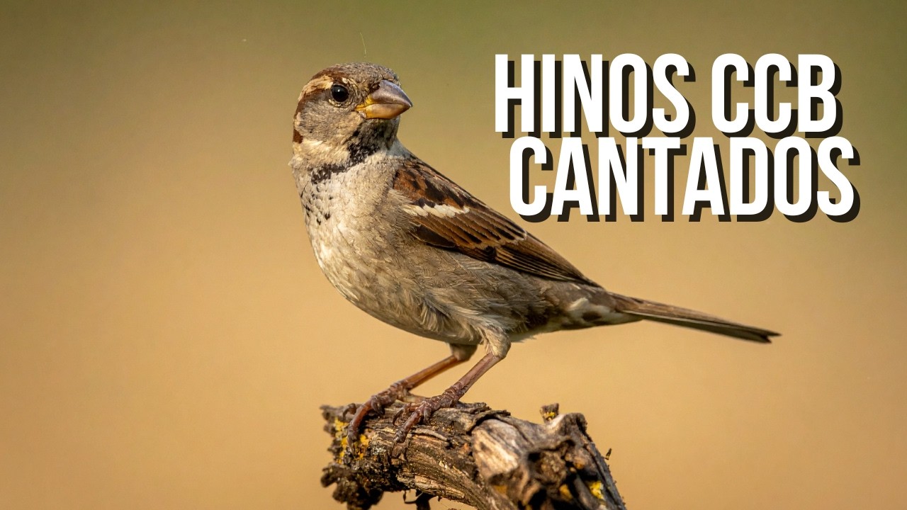 CCB Hinos Cantados VOL 59