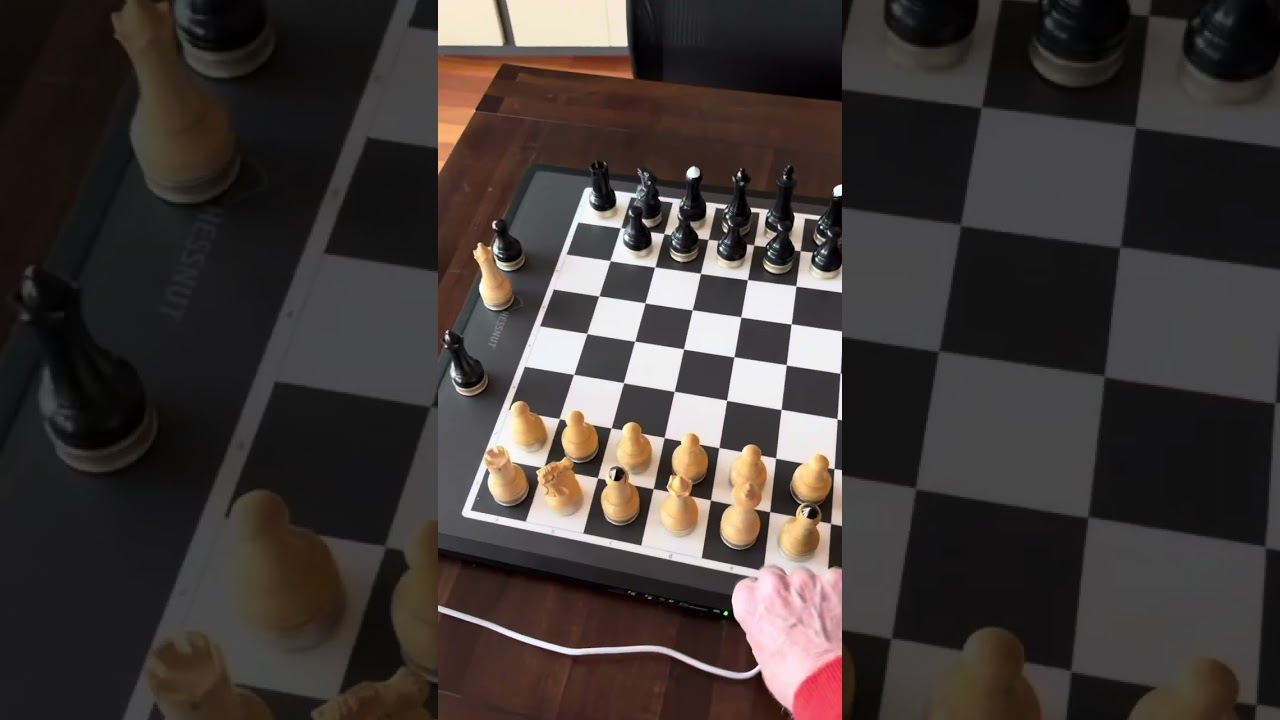 Chessnut move problems