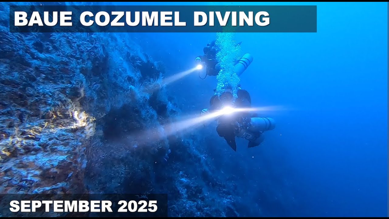 BAUE Cozumel Diving, September 2025