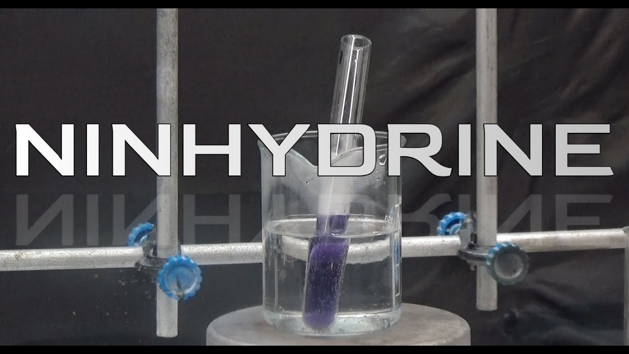 Ninhydrin synthesis, Amino acid reagent.