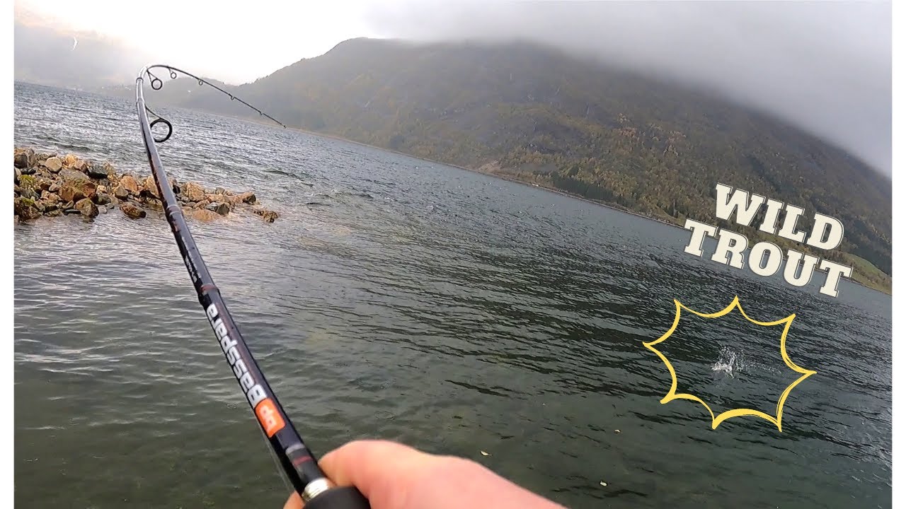 Trote lacustri spettacolari!