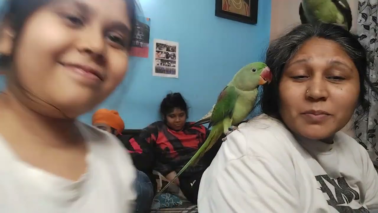 #Mummy ki ungli katli parrot