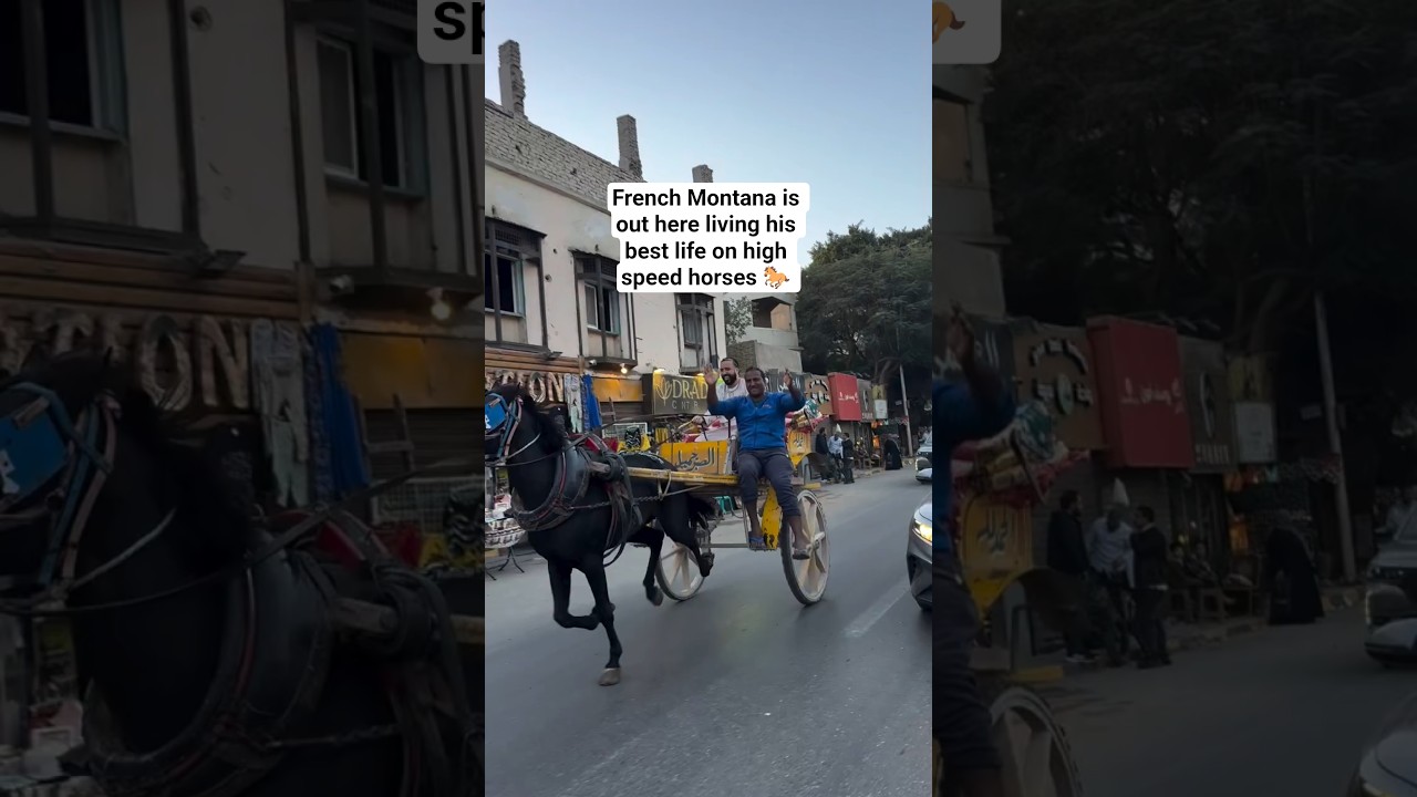 French Montana is out here living his best life on high speed horses 🐎
