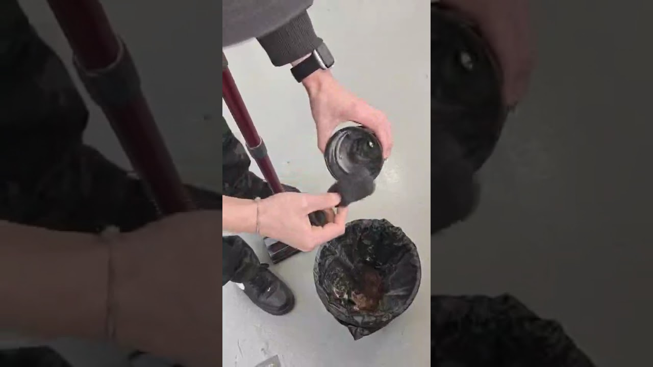 clean vacuum cleaner