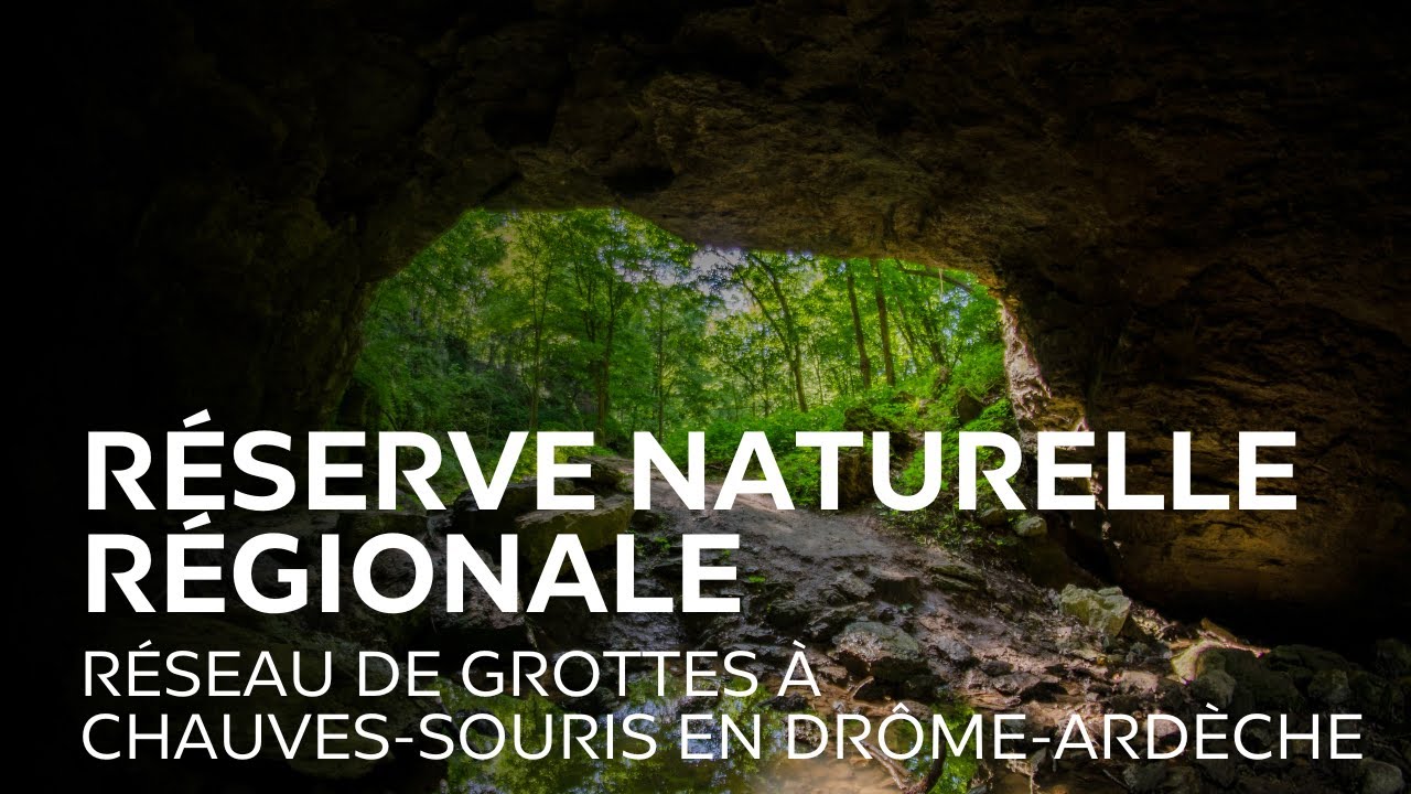 DANS LA RÉSERVE