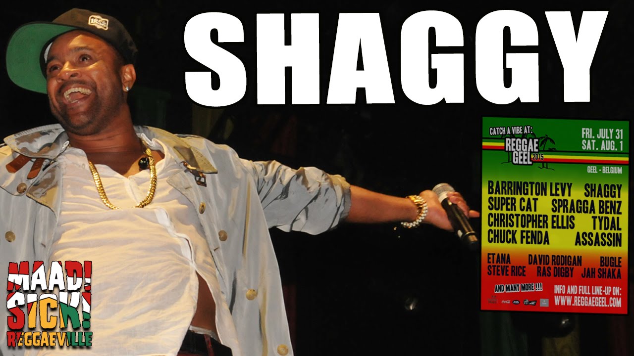 Shaggy - Church Heathen @&nbsp;Reggae Geel 2015