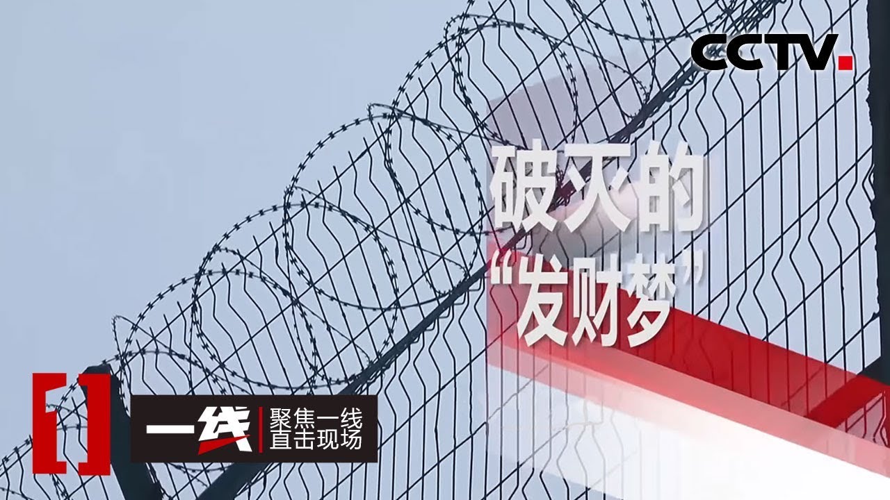 《一线》 破灭的&ldquo;发财梦&rdquo; 20200331 | CCTV社会与法