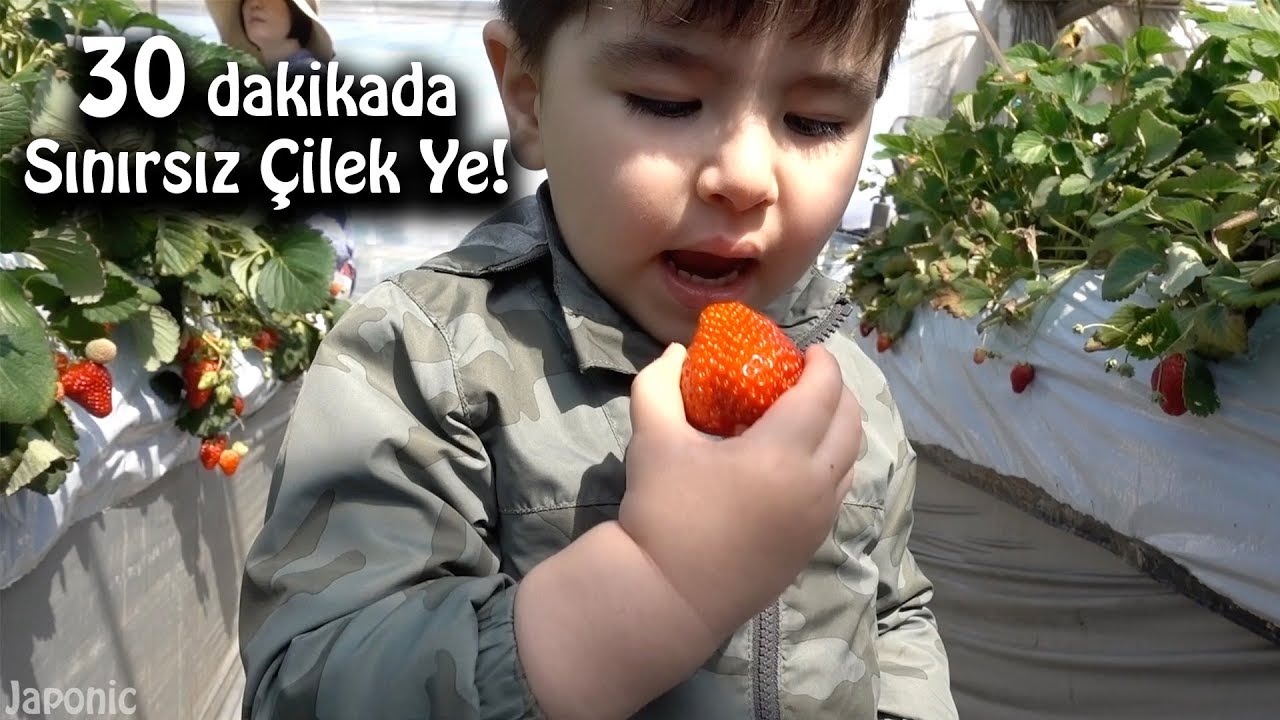 Sınırsız Çilek, Japon Serası | Japonic