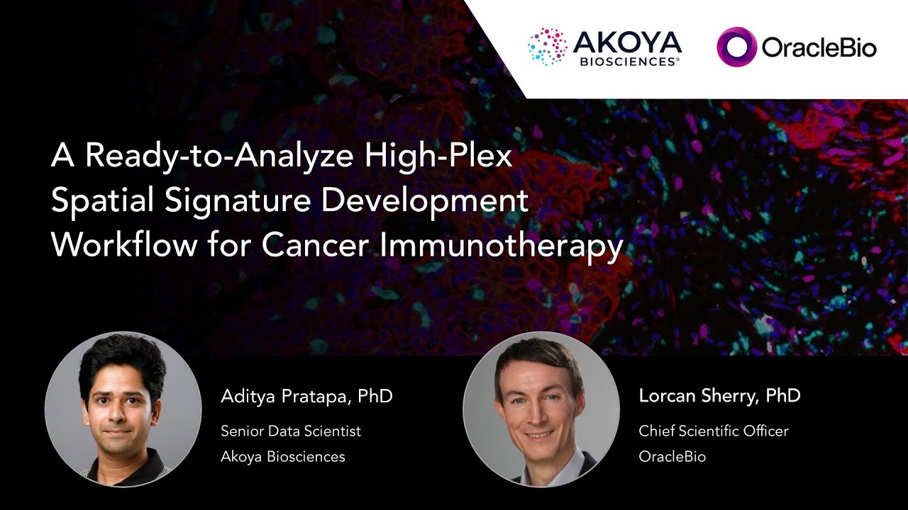 A Ready-to-Analyze High-Plex Spatial Signature Development Workflow for Cancer Immunotherapy