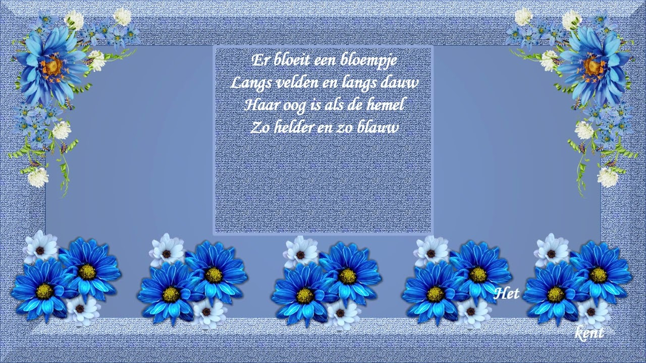 Madeliefje
