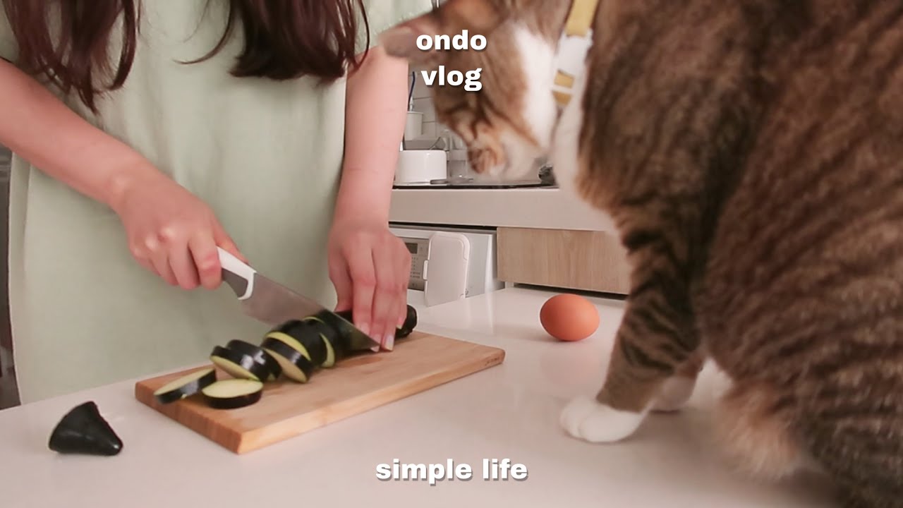 ENG)고양이 집사의 하루,토마토 매실절임 만들기,가지로 맛있는 요리 해 먹고,당근케이크 만드는 일상