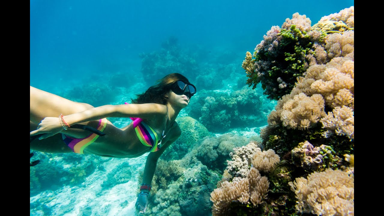 Panglao Fun Freediving - 自由潛水