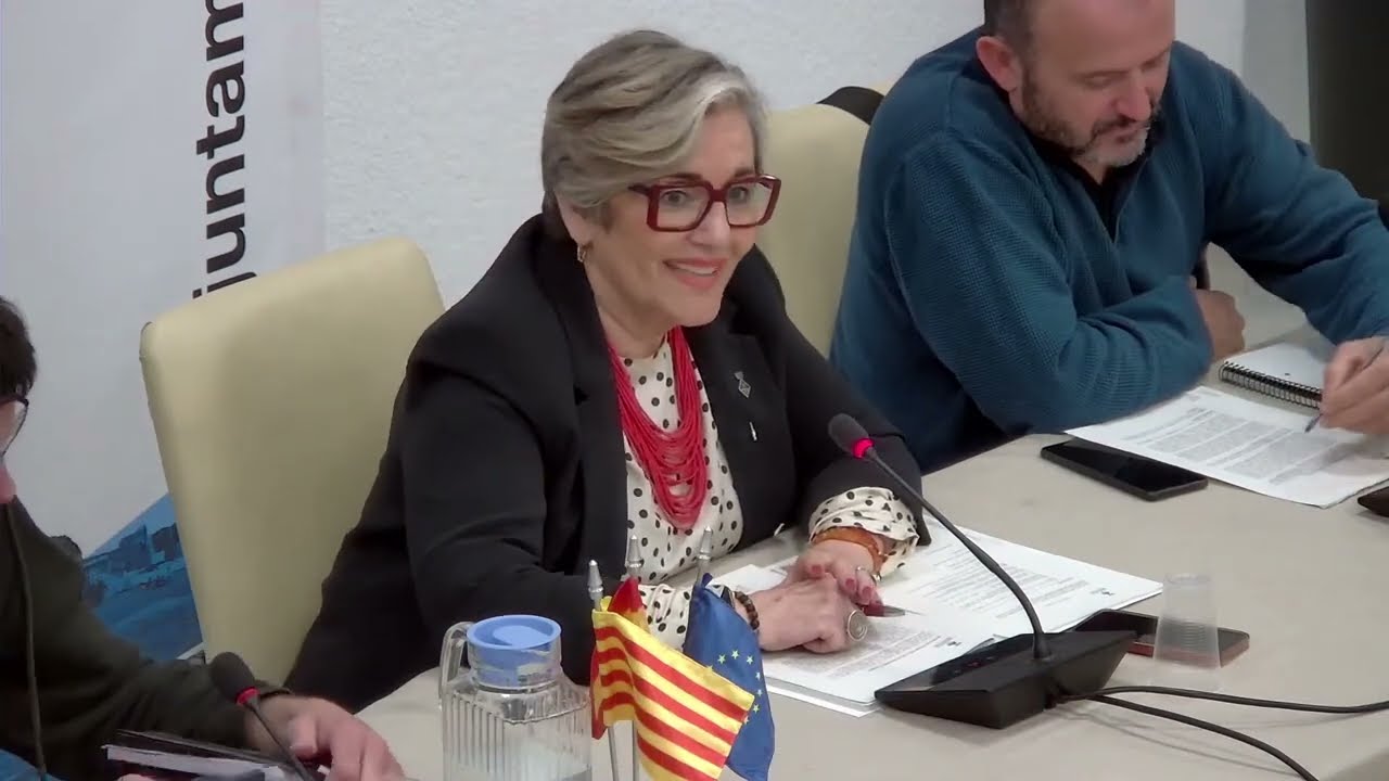 Ple ordinari del 31/03/2025