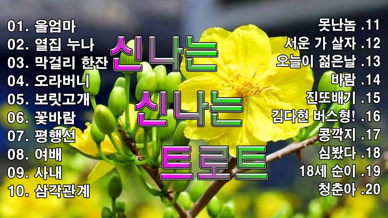 신나는 신나는 트로트 | KPOP [ TROT ] | PLAYLIST🎶( 꽃길.상사화.여인의 눈물.회룡포.바람길...)