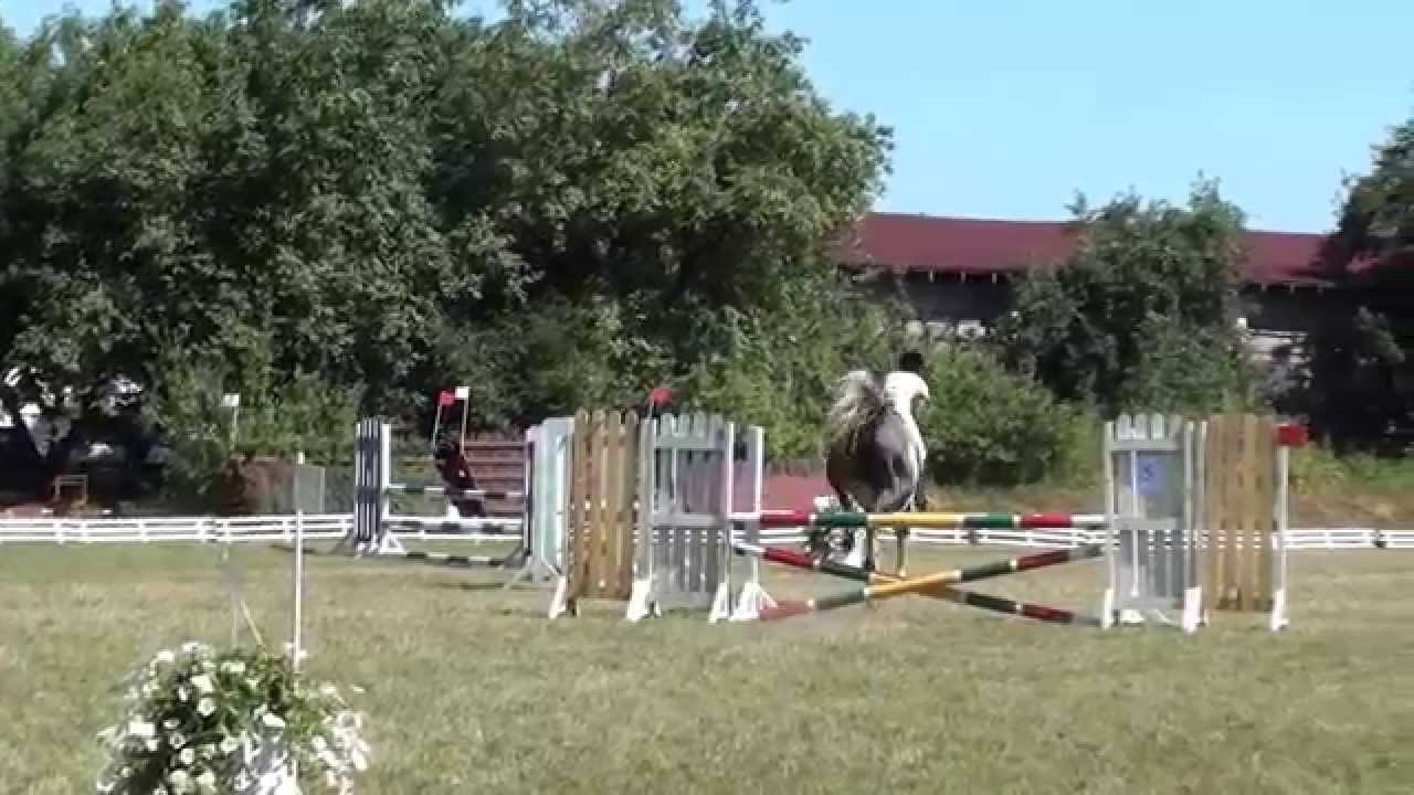 Daliya